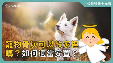 狗狗骨灰放在家|【天品生命小知識】寵物骨灰可以放家裡嗎？如何適當。